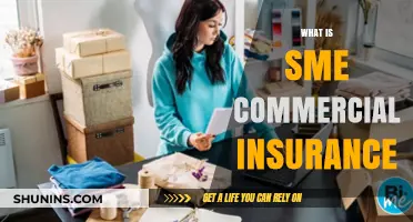 Commercial Insurance: Protecting Your SME