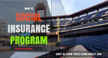 Social Insurance: A Safety Net for Citizens
