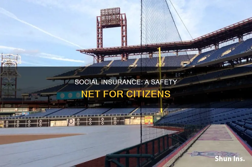what is social insurance program