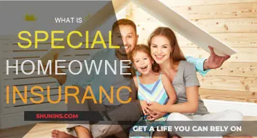 Homeowners Insurance: Special Coverage for Your Unique Needs