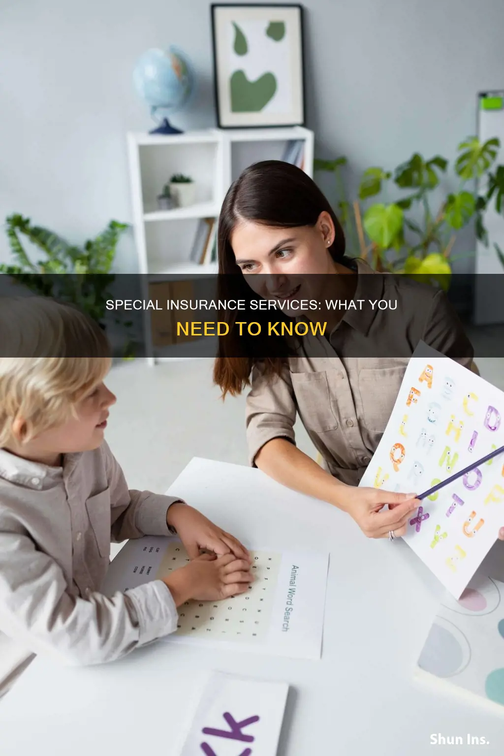 what is special insurance services