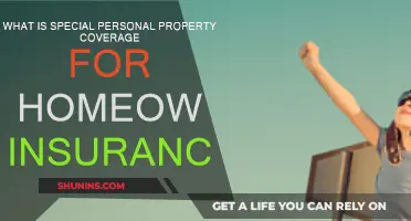 Personal Property Insurance: Protecting Your Home's Unique Features