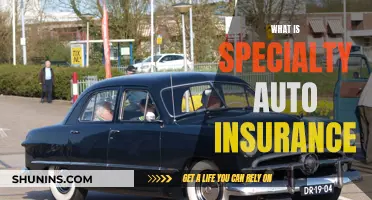 Specialty Auto Insurance: What You Need to Know