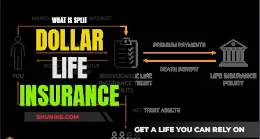 Understanding Split-Dollar Life Insurance: How Does It Work?