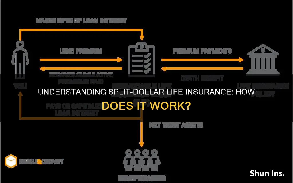 what is split dollar life insurance