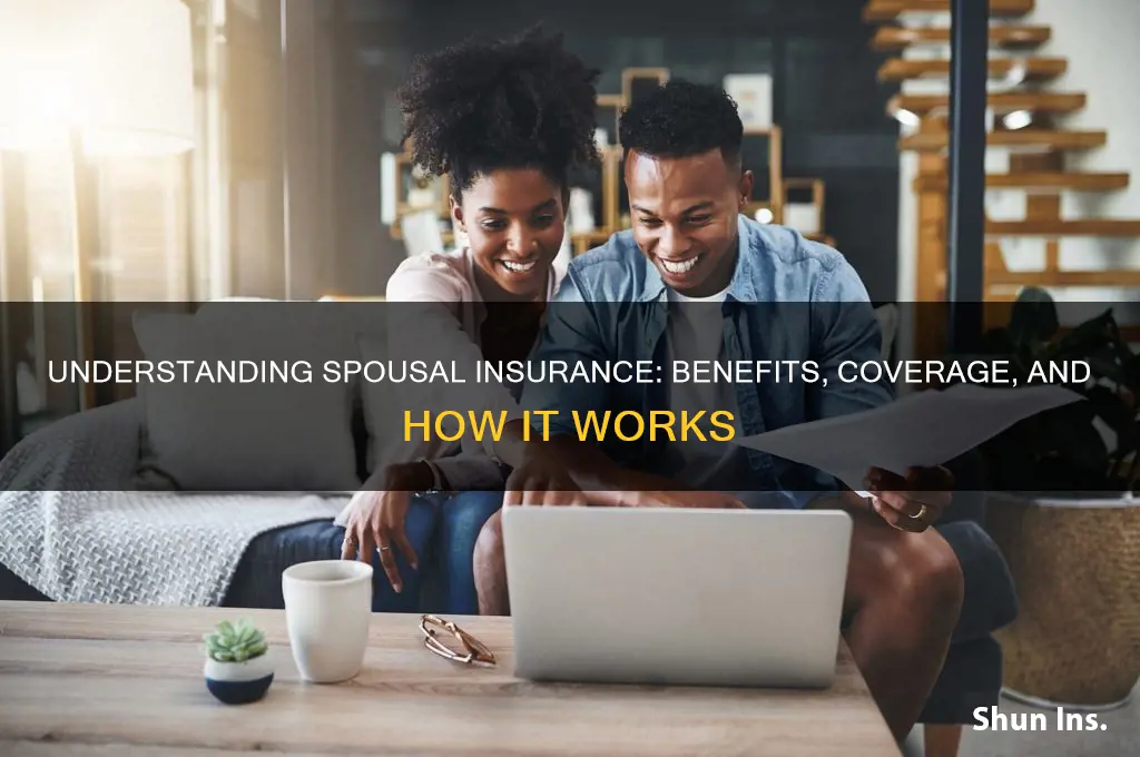 what is spousal insurance