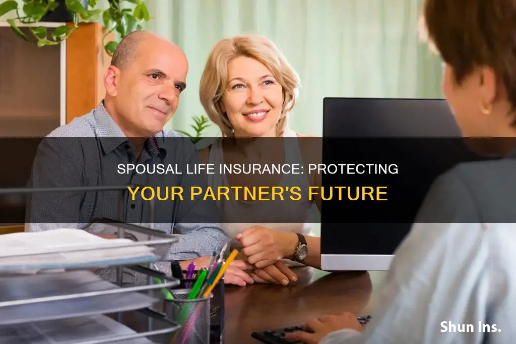 what is spousal life insurance