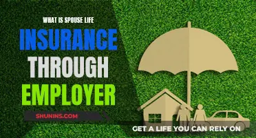 Employer-Provided Spouse Life Insurance: What You Need to Know