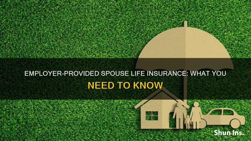 what is spouse life insurance through employer