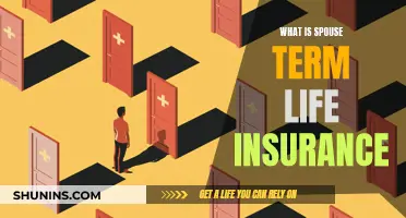 Understanding Spouse Term Life Insurance: A Comprehensive Guide