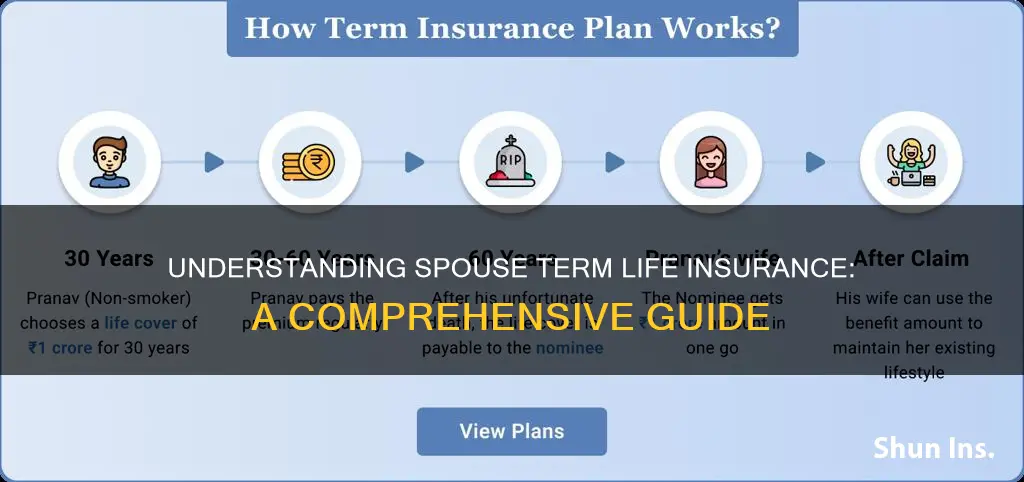 what is spouse term life insurance