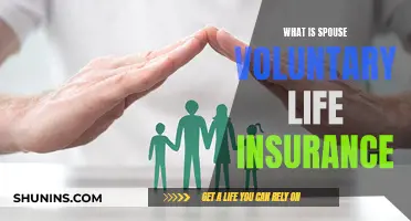 Understanding Spouse Voluntary Life Insurance: A Comprehensive Guide