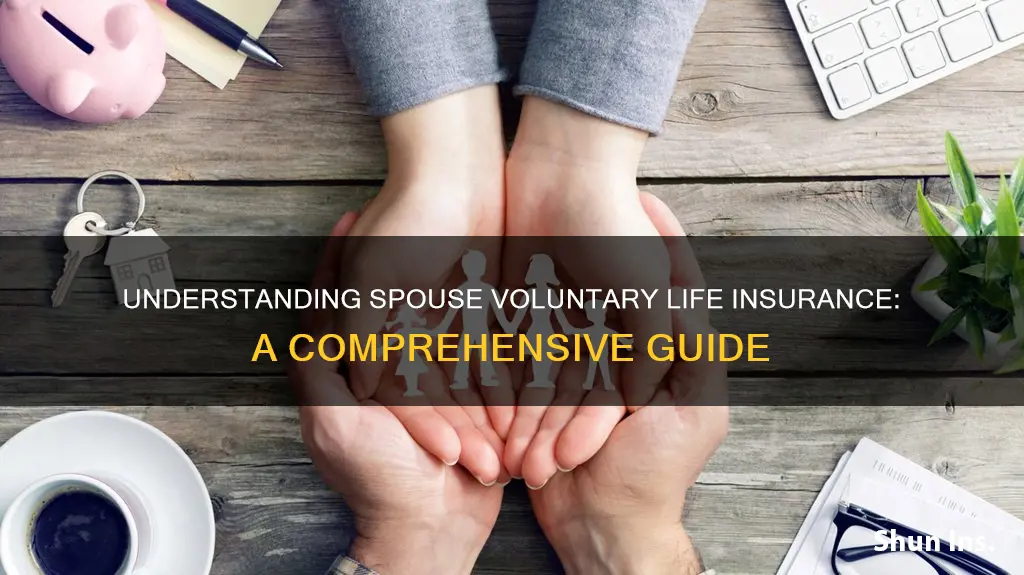 what is spouse voluntary life insurance