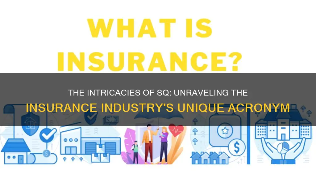 what is sq in insurance terms