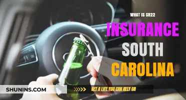 Understanding SR22 Insurance Requirements in South Carolina: A Complete Guide
