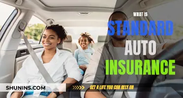 Auto Insurance Basics: Understanding Standard Coverage