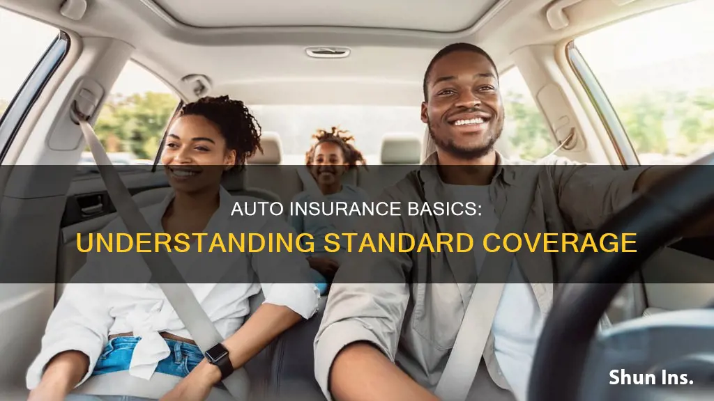 what is standard auto insurance