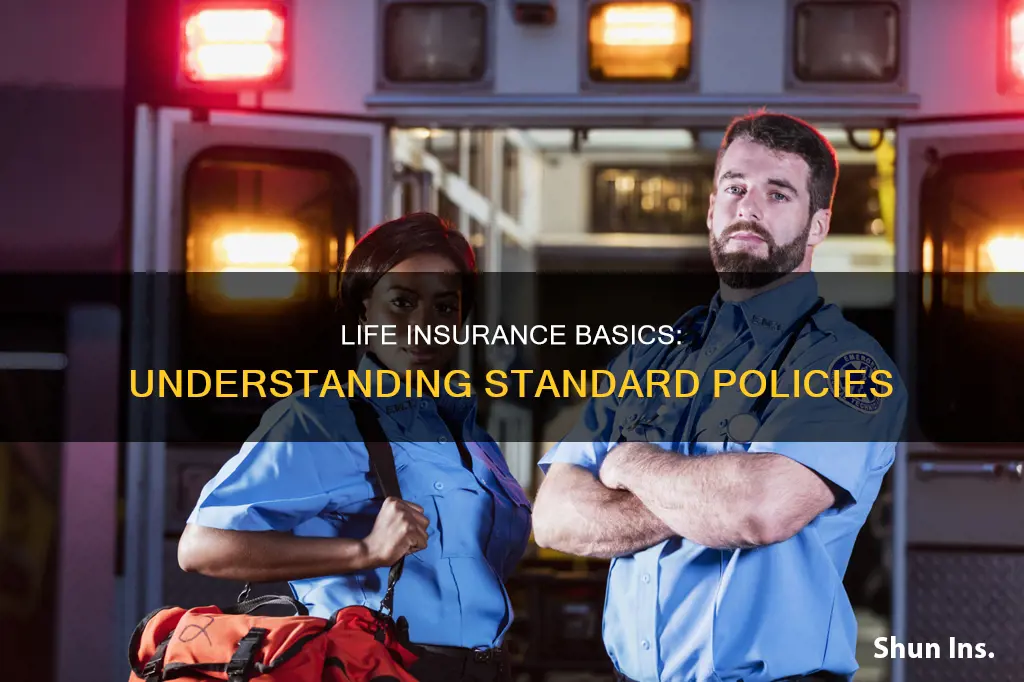 what is standard life insurance