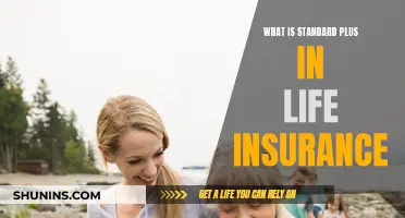 Understanding Standard Plus: Life Insurance Benefits Explained