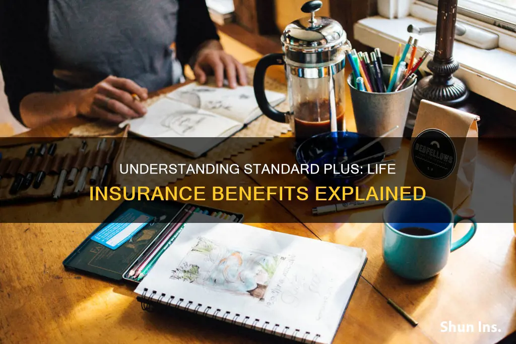 what is standard plus in life insurance