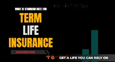 Understanding Term Life Insurance Rates: A Comprehensive Guide