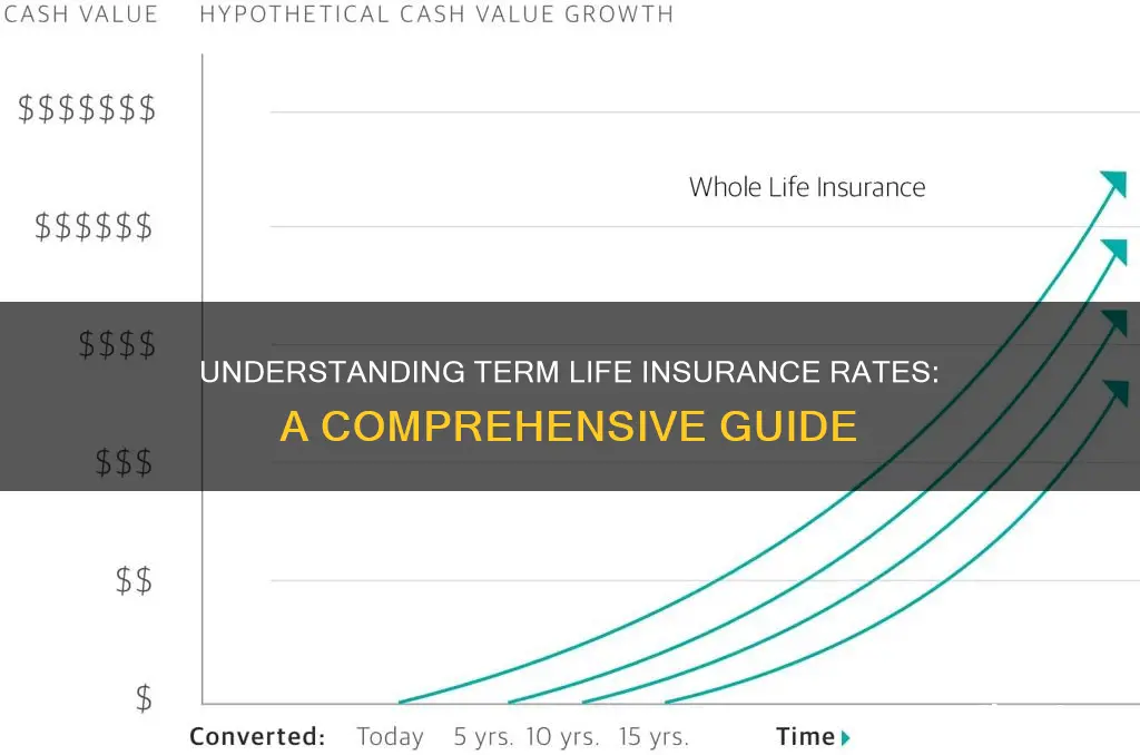 what is standard rate for term life insurance