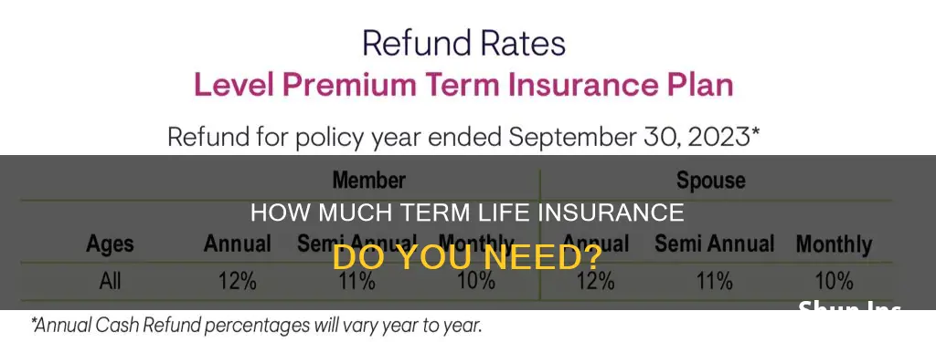 what is standard rate for term life insurance