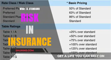 Standard Risk: Understanding Insurance Basics