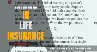 Understanding Standard Risk: Life Insurance Basics Explained