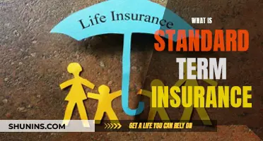 Understanding the Basics of Standard Term Insurance: A Comprehensive Guide