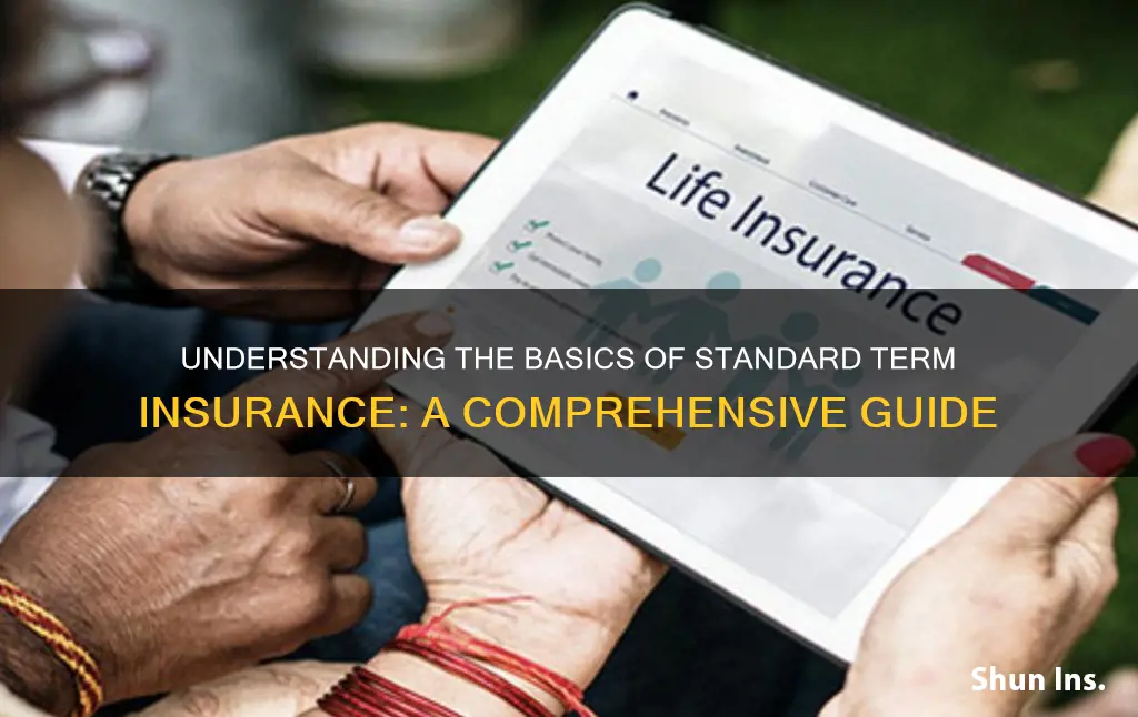 what is standard term insurance