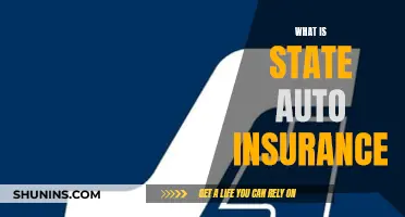 Auto Insurance and State: What You Need to Know