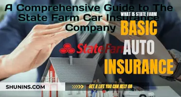 State Farm's Basic Auto Insurance: What You Need to Know