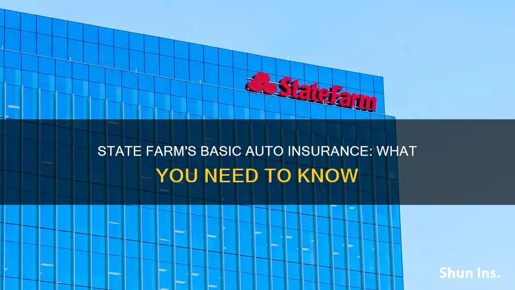 what is state farm basic auto insurance