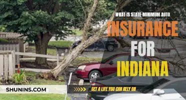 Indiana's Auto Insurance Minimums: What You Need to Know