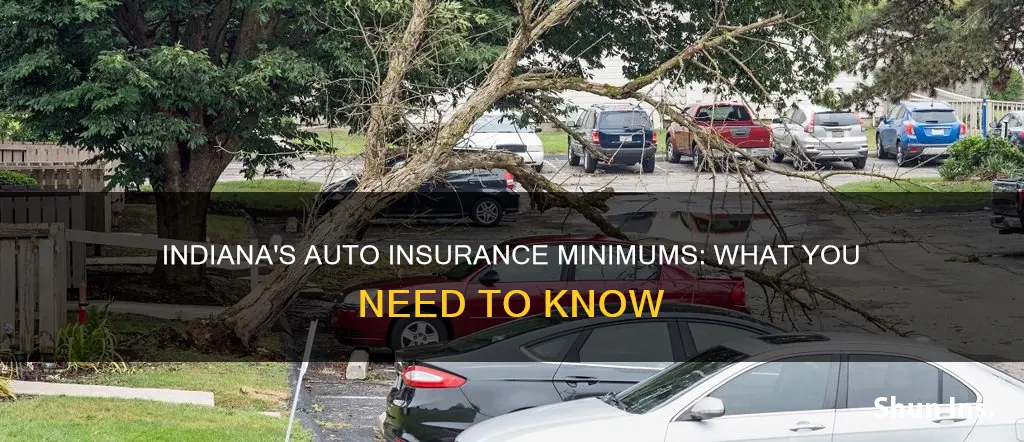 what is state minimum auto insurance for indiana