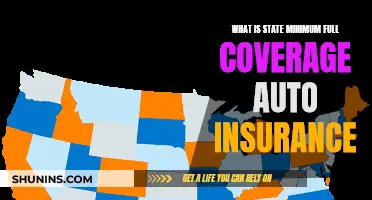 Full Coverage Auto Insurance: State Minimums Explained