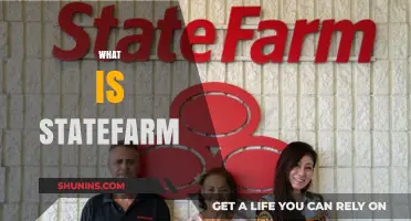 Statefarm: A Comprehensive Insurance and Financial Services Provider