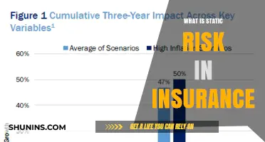 Understanding Static Risk in Insurance Policies
