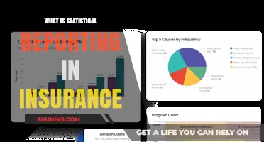 Statistical Reporting: Insurance's Data-Driven Insights