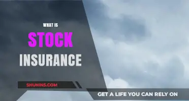 Understanding Stock Insurance: Protecting Your Investments and Financial Future