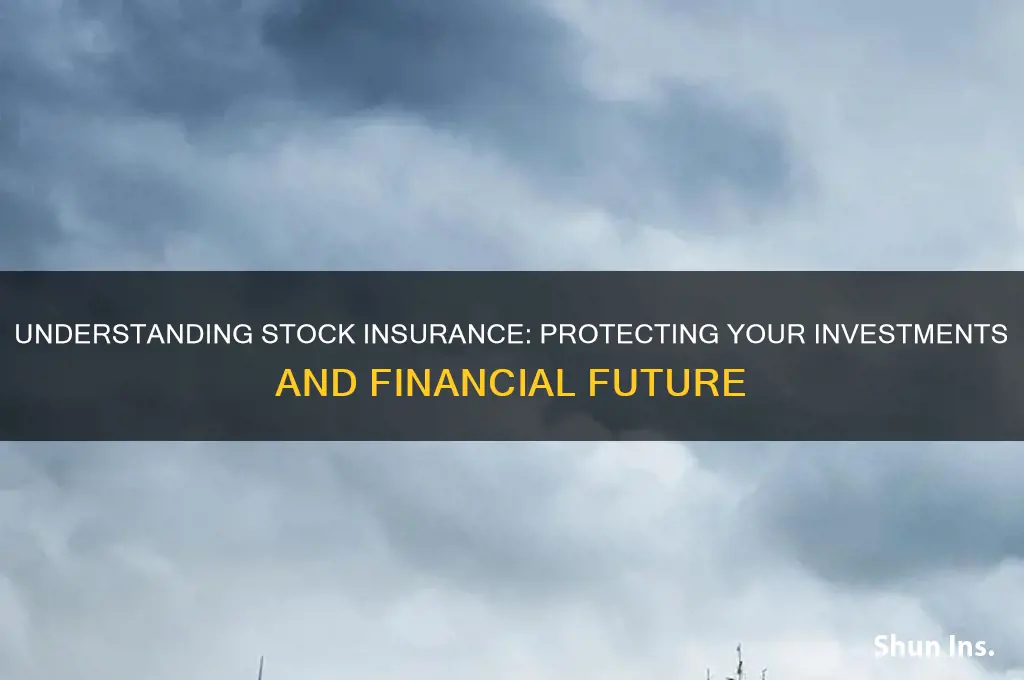what is stock insurance