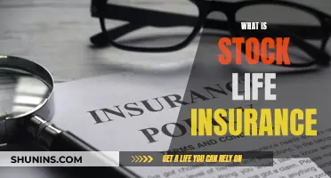 Understanding Stock Life Insurance: A Comprehensive Guide