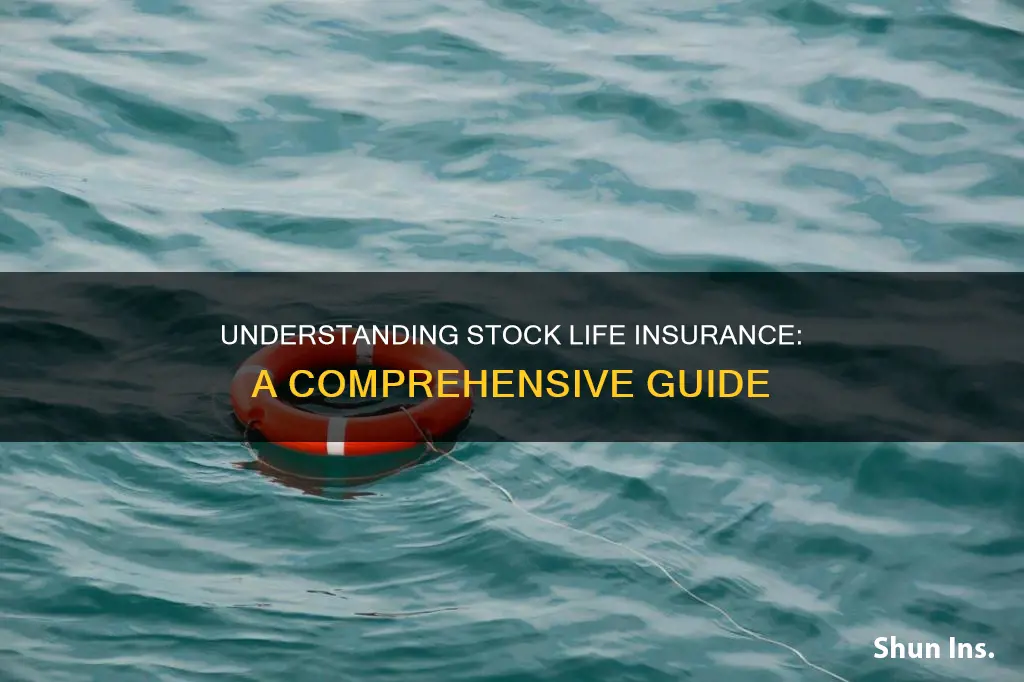 what is stock life insurance