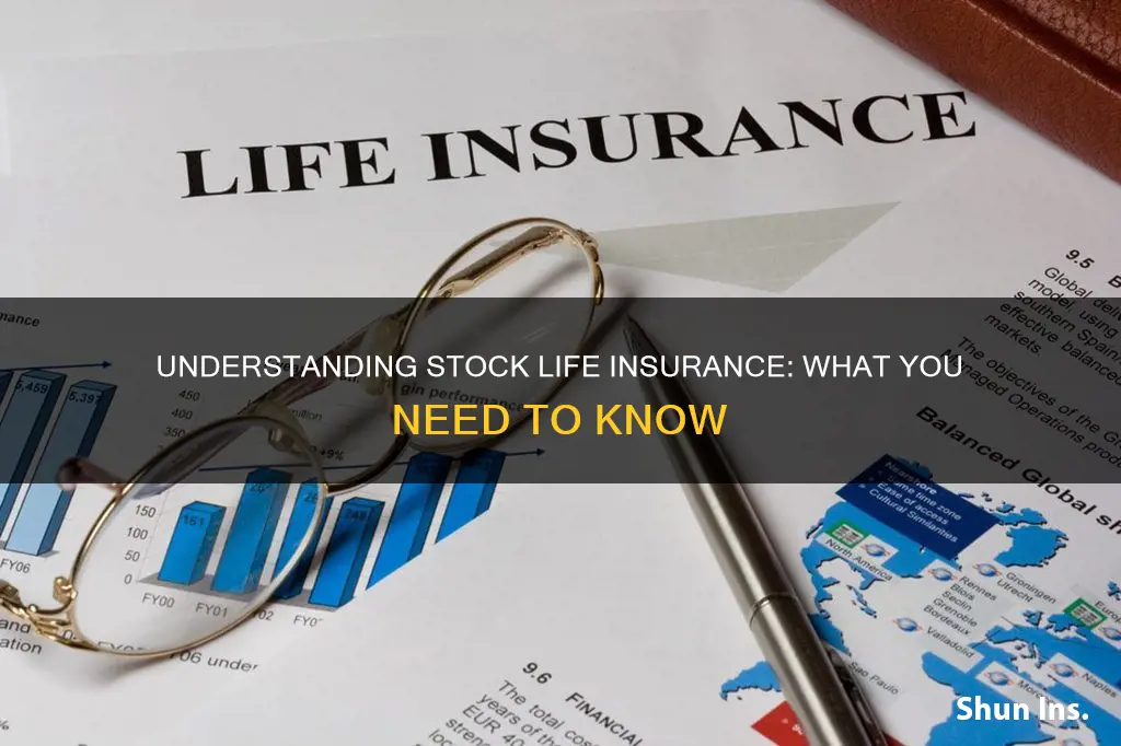 what is stock life insurance