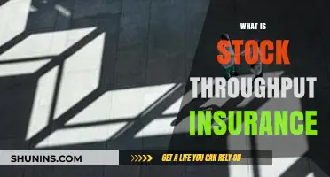Understanding Stock Throughput Insurance: Comprehensive Coverage for Goods in Transit