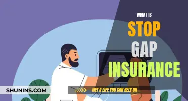 Stop-Gap Insurance: Filling the Gaps