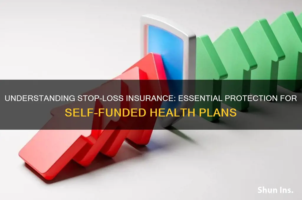 what is stop-loss insurance