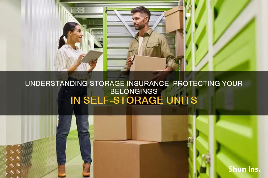 what is storage insurance