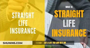 Straight Life Insurance: What You Need to Know